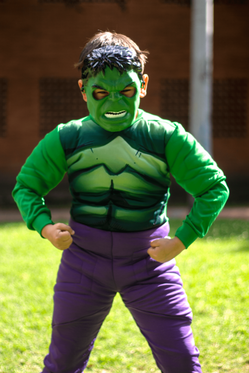 disrfraz_de_hulk